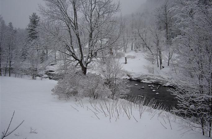 Inn At Ellis River Джексон Экстерьер фото